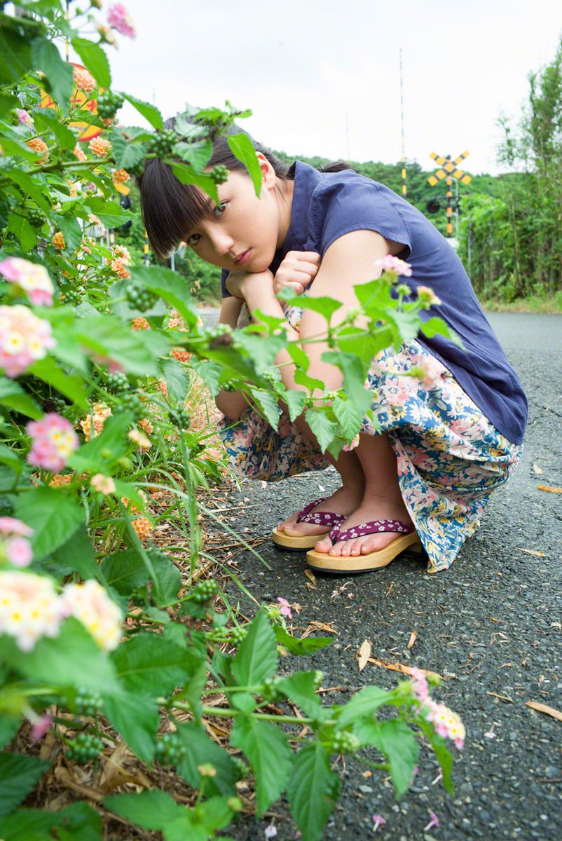 枫叶最多情